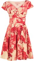 Thumbnail for your product : Ted Baker Womens Floral Etchings Print Dress Coral