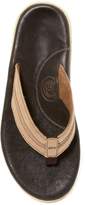 Thumbnail for your product : Cobian Tofino Archy Flip Flop Sandal