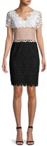 Thumbnail for your product : Shani Colorblock V-neck Lace Dress