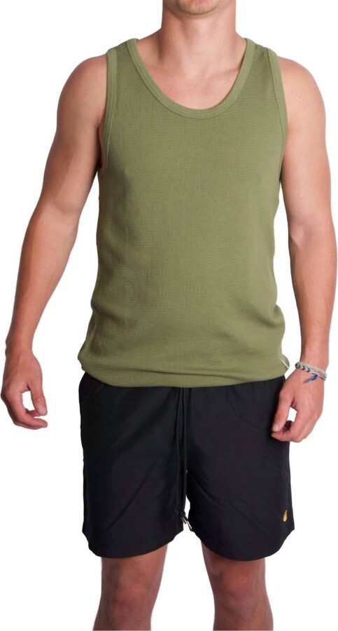 Knickerbocker Box Knit Tank Top In Olive