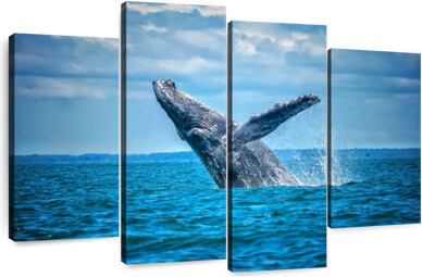 Ebern Designs Brampt Pacific Humpback Whale