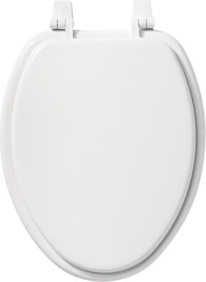 Bemis Wood Elongated Toilet Seat