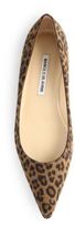 Thumbnail for your product : Manolo Blahnik BB Leopard-Print Suede Flats