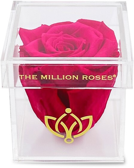 The Million Roses Hot Pink Rose In Single Rose Box - ShopStyle