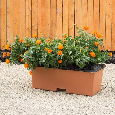 Arlmont & Co. Lionnel Planter Box