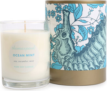 Thomas Paul Vineyard Ocean Mint Scented Designer Candle