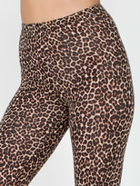 Thumbnail for your product : American Apparel Leopard Print Cotton Spandex Jersey Legging