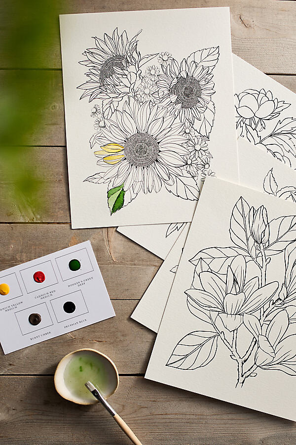 Garden Watercoloring Kit at Terrain