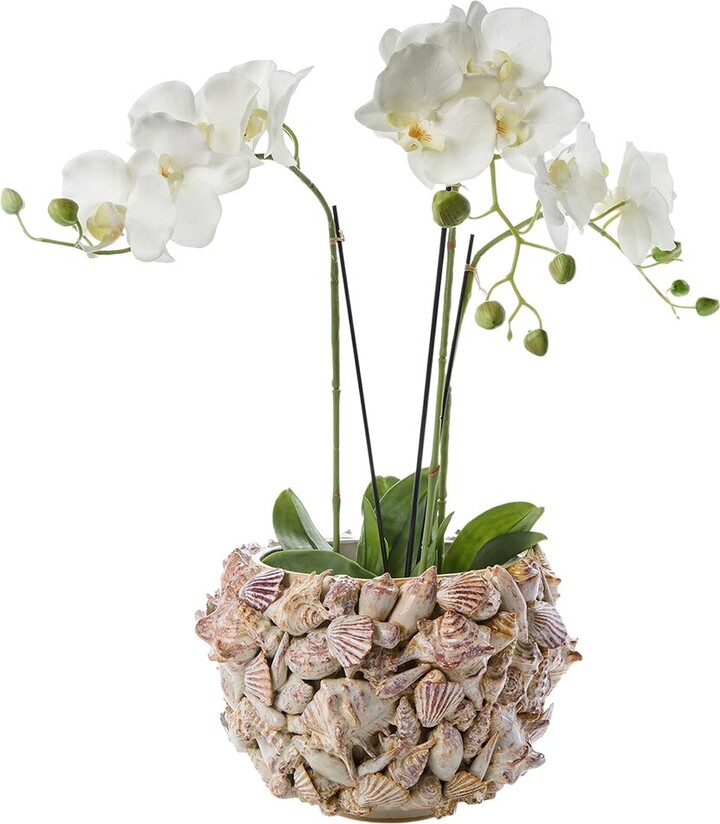 Tozai Two's Company 8.75In Shell Planter