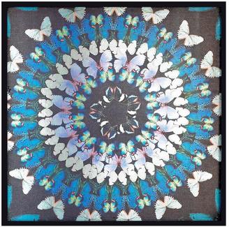Graham & Brown Flock Of Butterflies Canvas