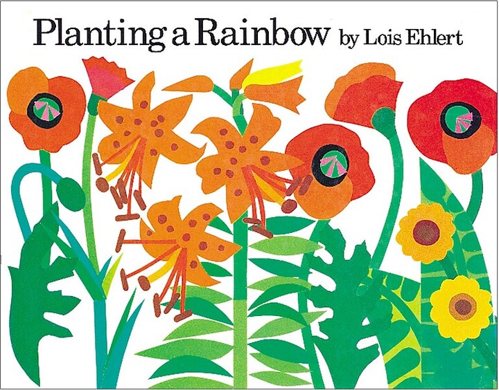 Houghton Mifflin Planting a Rainbow Big Book
