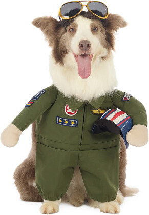 TJMAXX Air Force Dog Costume, Polyester