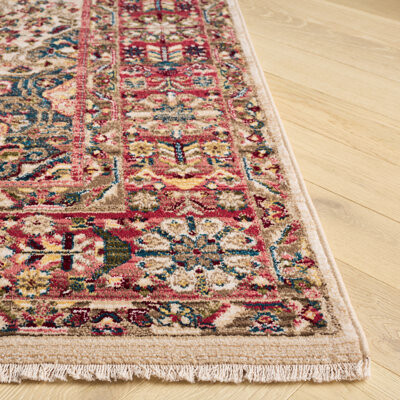 World Menagerie Kurtz Performance Oriental Rug