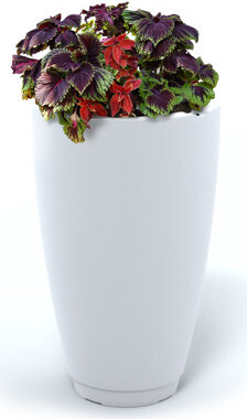 Mayne Inc. Caprio Tall Resin Pot Planter with Water Reservoir