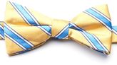 Thumbnail for your product : Chaps Men's Striped Self-Tie Bow Tie
