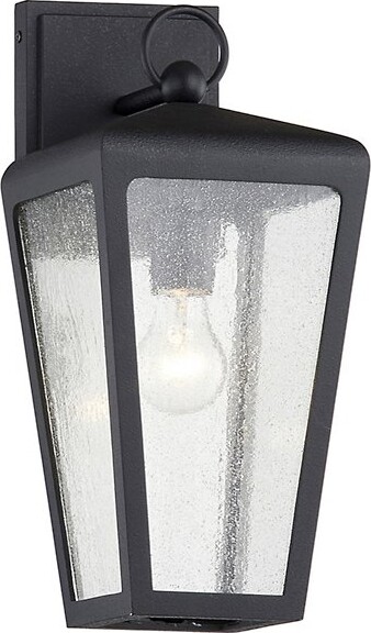 Troy Lighting Mariden Outdoor Wall Sconce in Clear, Size: Small