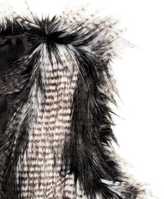 Thumbnail for your product : H&M Faux Fur Vest