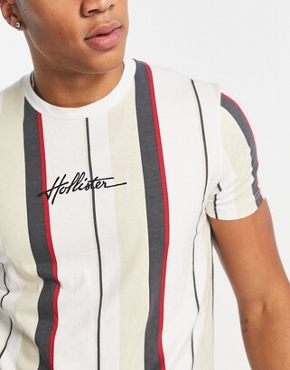 Hollister script logo vertical stripe relaxed fit t-shirt in white -  ShopStyle