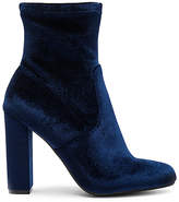 Thumbnail for your product : Steve Madden Edit Bootie