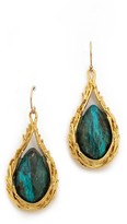 Thumbnail for your product : Alexis Bittar Feathered Drop Earrings