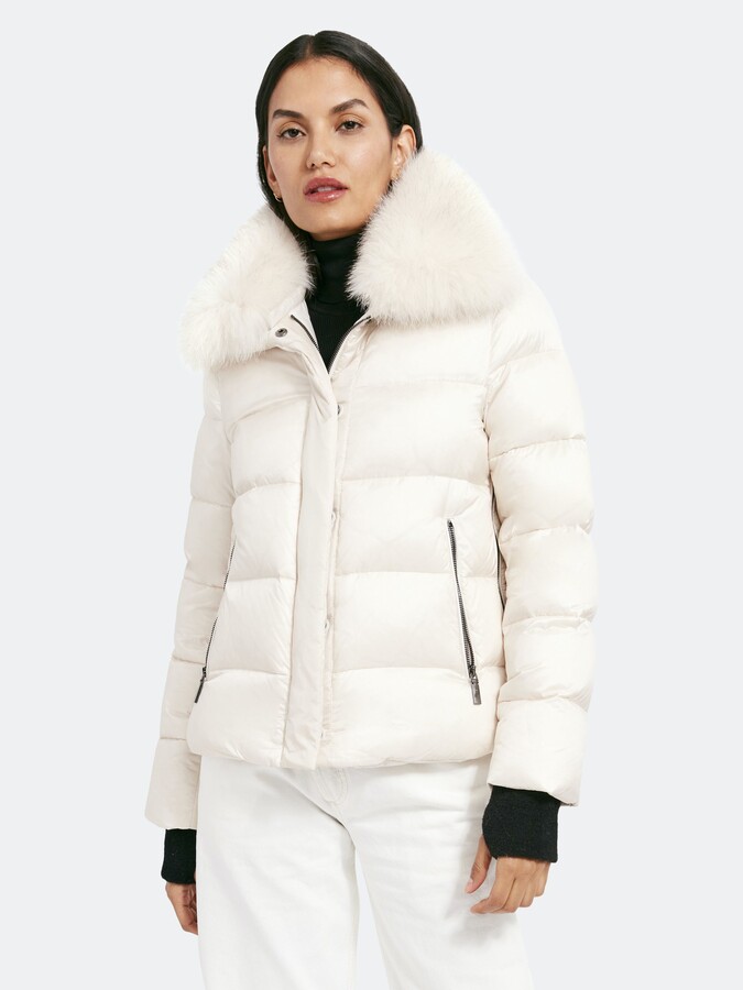 dawn levy vera jacket