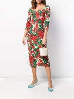 Thumbnail for your product : Dolce & Gabbana Portofino-print midi dress