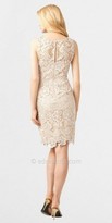 Thumbnail for your product : Adrianna Papell All Over Sleeveless Lace Sheath Dress