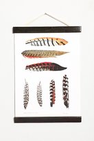 Thumbnail for your product : UO 2289 Curious Prints Feathers Hanging Dowel Print