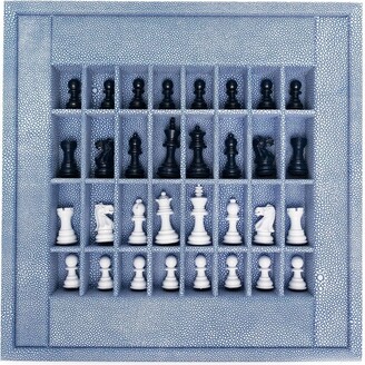 Hector Saxe Coffret d'échecs chess set