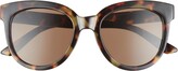 Thumbnail for your product : BP 52mm Round Sunglasses