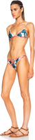 Thumbnail for your product : We Are Handsome Bra Bikini