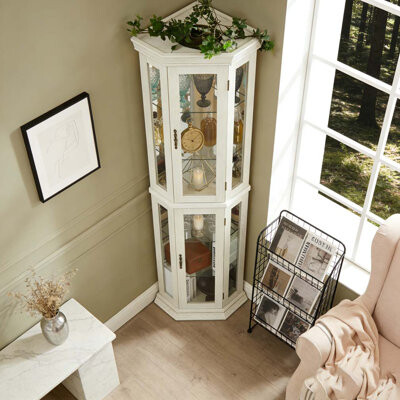 Latitude Run Lighted Corner Curio Cabinet