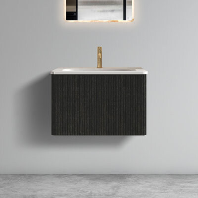 Ebern Designs Xyler Wall-Mounted Floating Bathroom Vanity with Sink & 2 Drawers