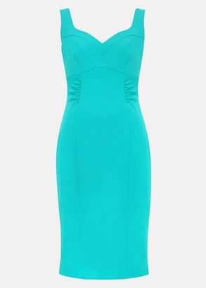 Phase Eight Alicia Fitted Dress