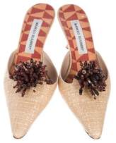 Thumbnail for your product : Manolo Blahnik Beaded Raffia Mules