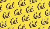 Thumbnail for your product : Vineyard Vines University of California Silk Tie