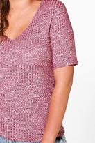 Thumbnail for your product : boohoo Plus Tia Ribbed basic V Neck Tee