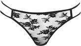 Thumbnail for your product : boohoo Molly Double Strap Lace Brief