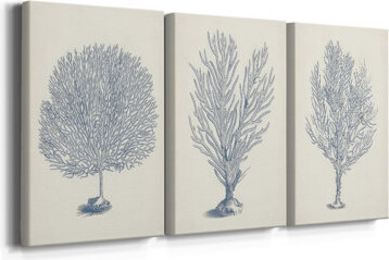 Rosecliff Heights Antique Coral Collection I -Custom Wrapped Gallery Canvas - 3 Pieces