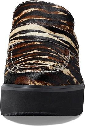 Matisse Kelly (Zebra Cow Hair) Women's Shoes