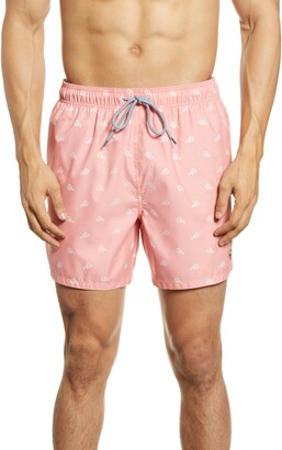 ted baker bathing suit nordstrom