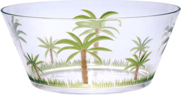 Bay Isle Home Palm Tree Acrylic Serving Bowls Unbreakable Large Plastic Bowls For Soup Salad Cereal And Snacks BPA Free