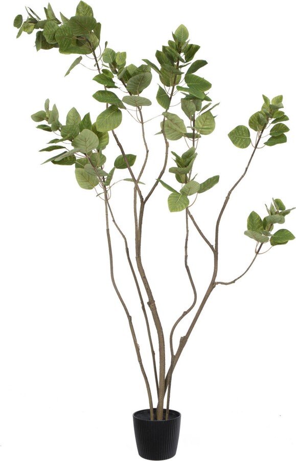 Vickerman 4' Artificial Green Potted Cotinus Coggygria Tree With 177 Leaves ShopStyle Decor