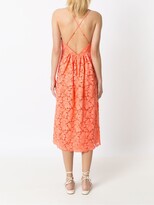 Thumbnail for your product : Nk Poppy Pola lace dress
