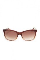 Thumbnail for your product : Just Cavalli Women's Brown Plastic Sunglasses