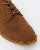 Thumbnail for your product : Sportscraft Paul Derby Shoes