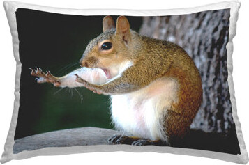 Stupell Industries Funny Squirrel Pose Decorative Printed Throw Pillow by Mary McGowan