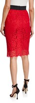 Thumbnail for your product : Dolce & Gabbana Cordonetto Lace Pencil Skirt