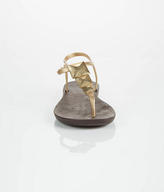 Thumbnail for your product : Ipanema Maya Sandals