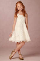 Thumbnail for your product : BHLDN Bebe Dress